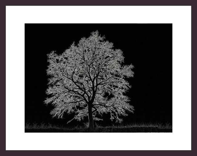 Arbre de vie - Réf: 2087