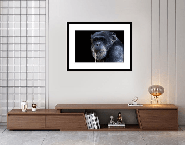 Guenon à la brindille (Couleur) - ref : 4471